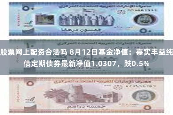 股票网上配资合法吗 8月12日基金净值：嘉实丰益纯债定期债券最新净值1.0307，跌0.5%