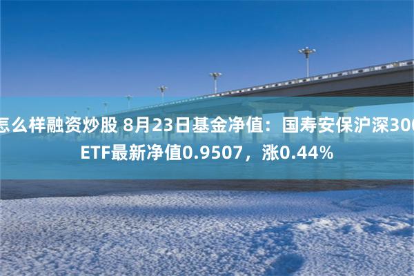 怎么样融资炒股 8月23日基金净值：国寿安保沪深300ETF最新净值0.9507，涨0.44%