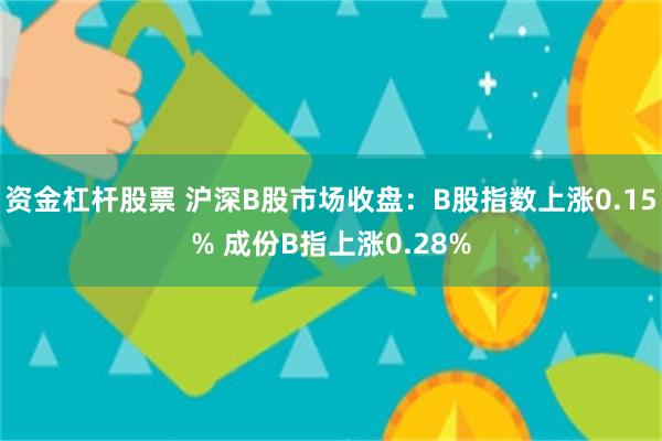 资金杠杆股票 沪深B股市场收盘：B股指数上涨0.15% 成份B指上涨0.28%