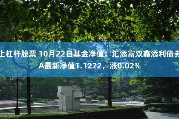 上杠杆股票 10月22日基金净值：汇添富双鑫添利债券A最新净值1.1272，涨0.02%