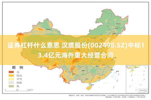 证券杠杆什么意思 汉缆股份(002498.SZ)中标13.4亿元海外重大经营合同