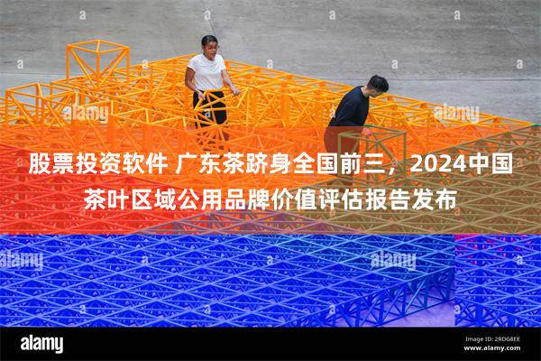 股票投资软件 广东茶跻身全国前三，2024中国茶叶区域公用品牌价值评估报告发布