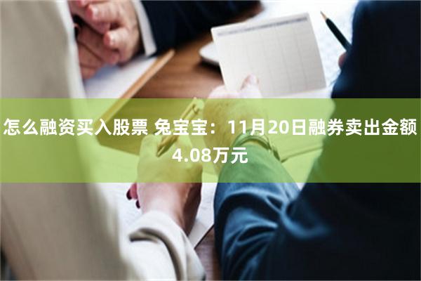 怎么融资买入股票 兔宝宝：11月20日融券卖出金额4.08万元