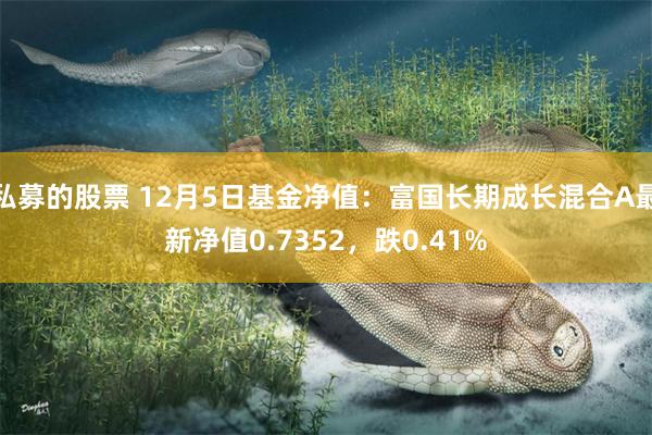 私募的股票 12月5日基金净值：富国长期成长混合A最新净值0.7352，跌0.41%