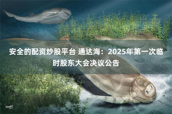 安全的配资炒股平台 通达海：2025年第一次临时股东大会决议公告