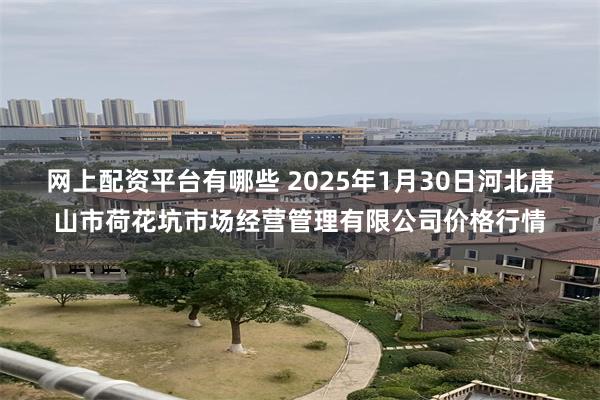 网上配资平台有哪些 2025年1月30日河北唐山市荷花坑市场经营管理有限公司价格行情