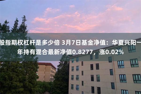 股指期权杠杆是多少倍 3月7日基金净值：华夏兴阳一年持有混合最新净值0.8277，涨0.02%